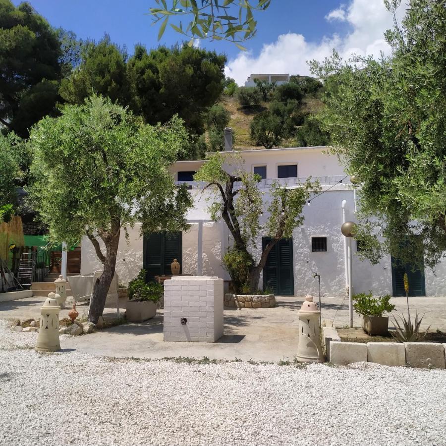 Petra Bianca Charming House Villa Mattinata Bagian luar foto